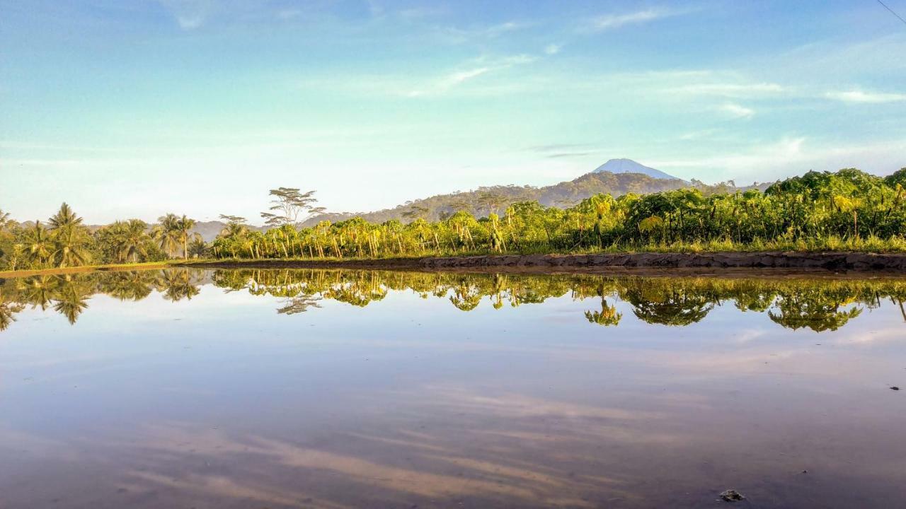 Genthong Homestay Magelang Exteriör bild