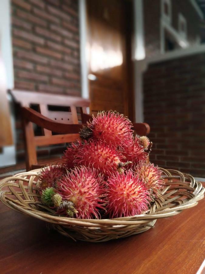 Genthong Homestay Magelang Exteriör bild